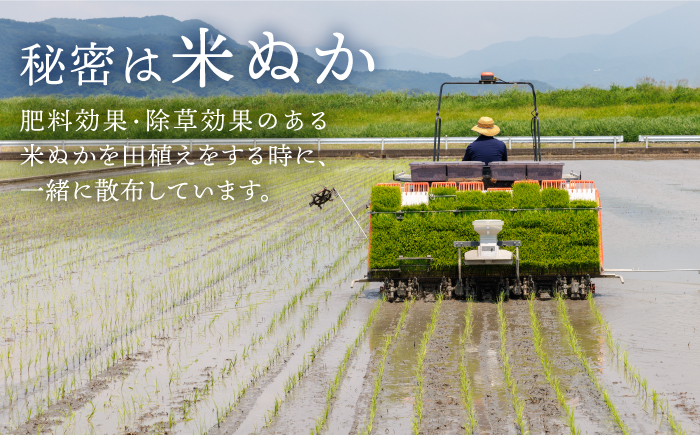【栽培期間中農薬不使用】令和7年産 新米 こだわりの白米 夢しずく 5kg【北原農園】 [HCA020]