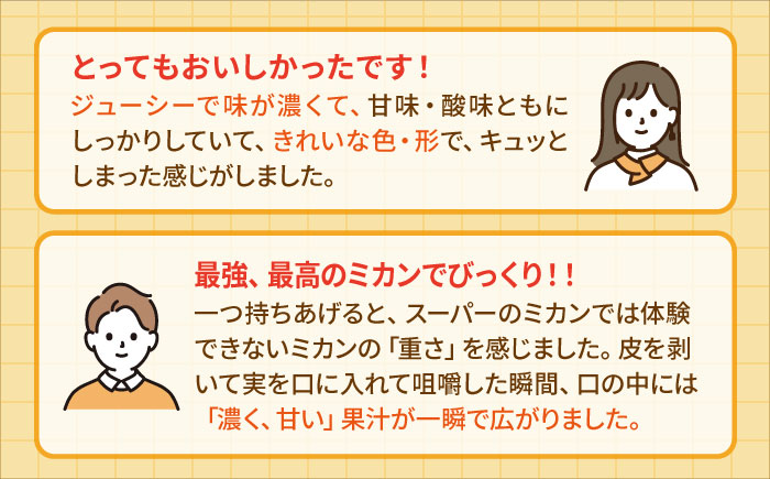【先行予約】【2月～3月発送】幻のみかん タッチの甘熟「今村温州みかん」5kg 【夢の完熟みかん タッチ】 [HCE002]