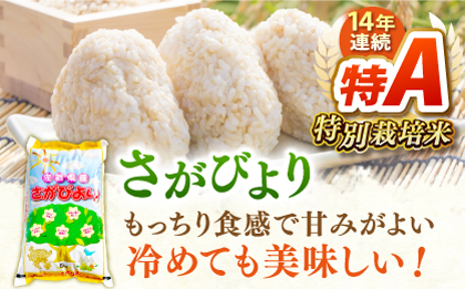 令和7年産 新米 ももちゃんちのお米 玄米 食べくらべ15kg（5kg×3種） 【ももさき農産】さがびより 夢しずく ヒノヒカリ [HCG002]