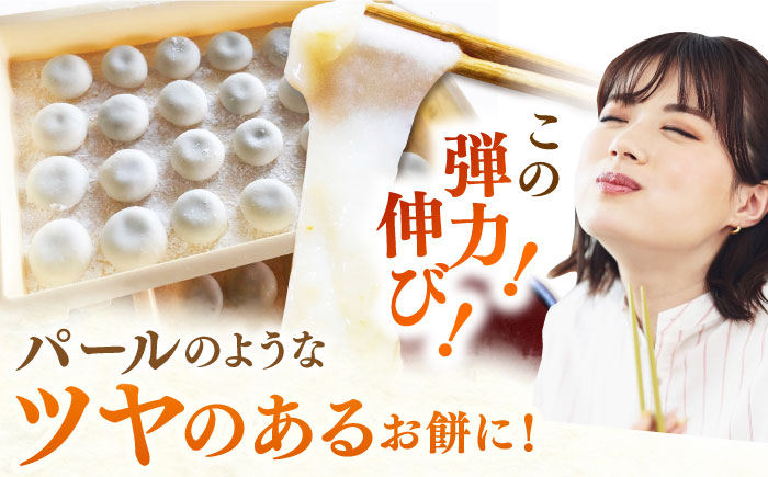 令和7年産 新米 ももちゃんちのお米 ヒヨクモチ 精米 10kg（5kg×2袋） 【ももさき農産】 [HCG003]