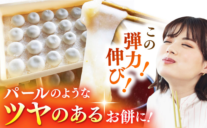 令和7年産 新米 ももちゃんちのお米 ヒヨクモチ 精米 5kg 【ももさき農産】 [HCG008]