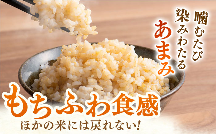 【全3回定期便】ももちゃんちのお米 夢しずく 玄米 5kg【ももさき農産】 [HCG012]