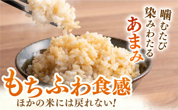 ももちゃんちのお米 夢しずく 玄米 30kg（一等米）【ももさき農産】 特A米 特A評価 [HCG013]