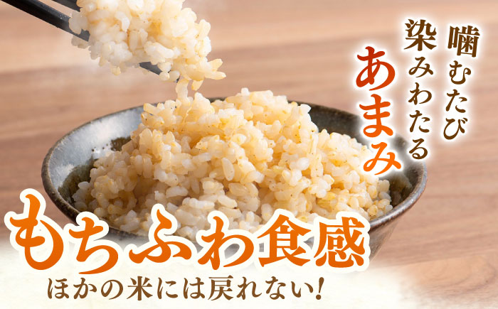 令和7年産 新米 ももちゃんちのお米 さがびより 玄米 5kg 【ももさき農産】 特A米 特A評価 [HCG016]