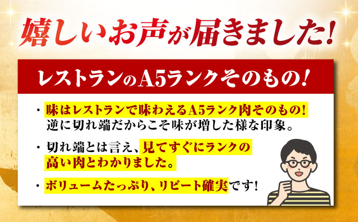 ＜全12回定期便＞佐賀牛 はしっこちゃん  計1kg（ロース カルビ）【がばいフーズ】佐賀牛 A5 A4 焼肉 カレー [HCS046]