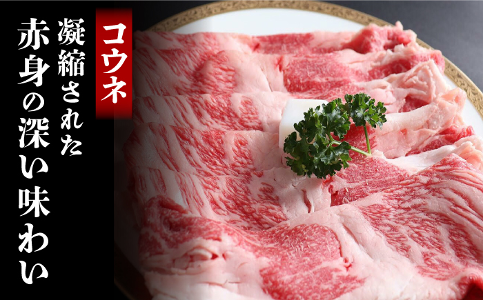 佐賀牛 すき焼きセット ＜ロース・コウネ＞1kg（各500g×2種）【がばいフーズ】A5 A4 スライス すき焼き用 牛肉 鍋 佐賀 [HCS071]