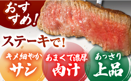 佐賀牛サーロインブロック 500g 【がばいフーズ】A5ランク 佐賀牛 [HCS092]