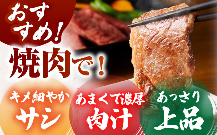 佐賀牛 上ロース（焼肉用） 500g 【がばいフーズ】 [HCS094]
