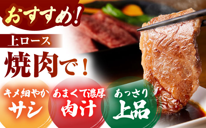 佐賀牛 ロース 盛り合わせ 1kg 【がばいフーズ】 [HCS101]