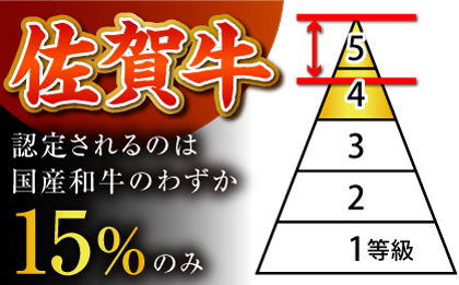 【佐賀牛100%使用！】佐賀牛 ハンバーグ ＜プレミアム＞150g×5個【がばいフーズ】A5 A4 佐賀牛 [HCS102]