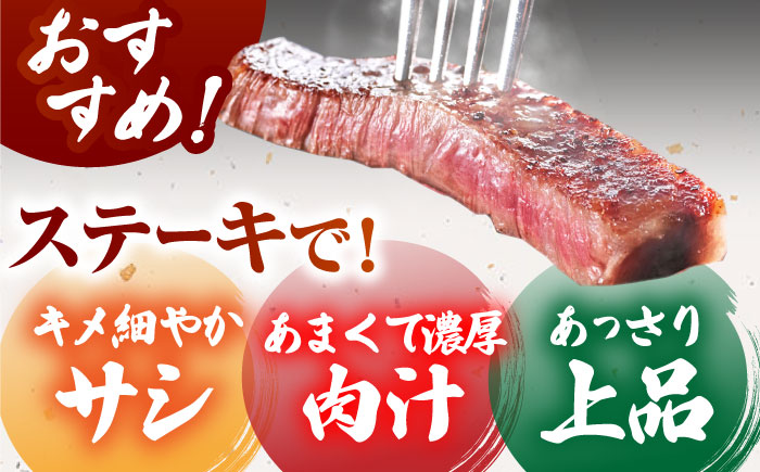 佐賀牛サーロインブロック 5kg【がばいフーズ】A5ランク 佐賀牛 [HCS109]