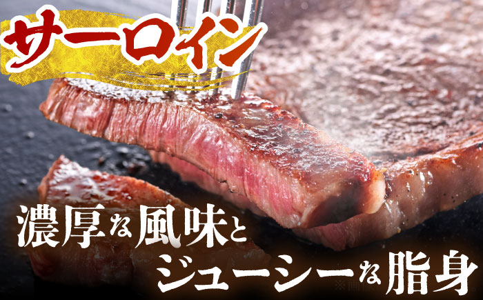 【全6回定期便】佐賀牛 ステーキ食べくらべセット（赤身・サーロイン・ヒレ）総計2.8kg 【がばいフーズ】 [HCS116] 牛肉