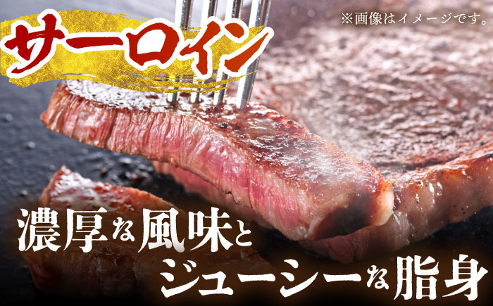 【全12回定期便】佐賀牛 ステーキ食べくらべセット（赤身・サーロイン・ヒレ）総計5.6kg 【がばいフーズ】 [HCS117] 牛肉