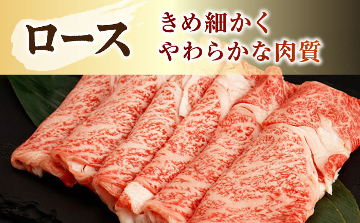 佐賀牛 ロースステーキ・薄切りセット【吉祥】 [HCW003]