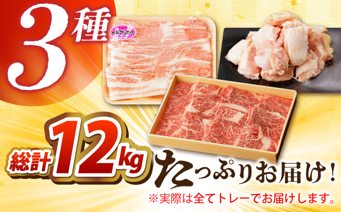 【全12回定期便】佐賀のお肉 焼肉 セット（牛肉・豚肉・鶏肉）【吉祥】 [HCW020]