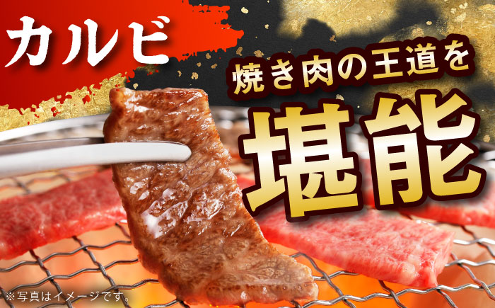 【奇数月発送】佐賀牛リッチセレクション定期便【多久精肉店】 [HCX006] 牛肉