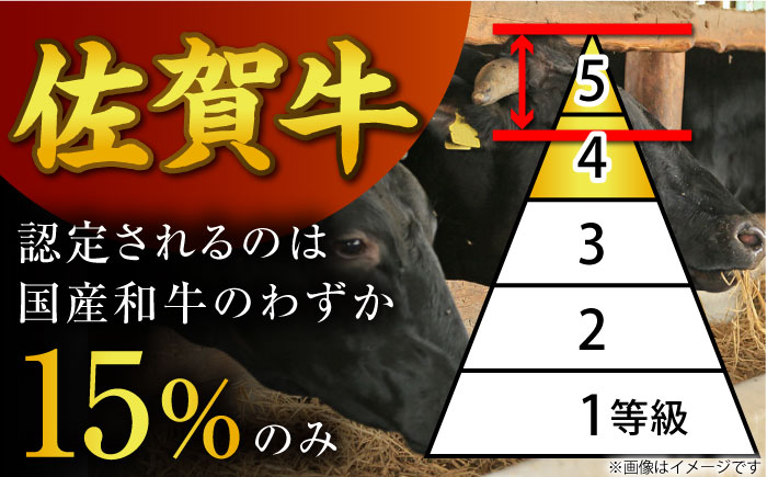 【サイズ違いでお届け！親子セット】佐賀牛ハンバーグ 12個（100g×7個・150g×5個）【多久精肉店】 [HCX012]