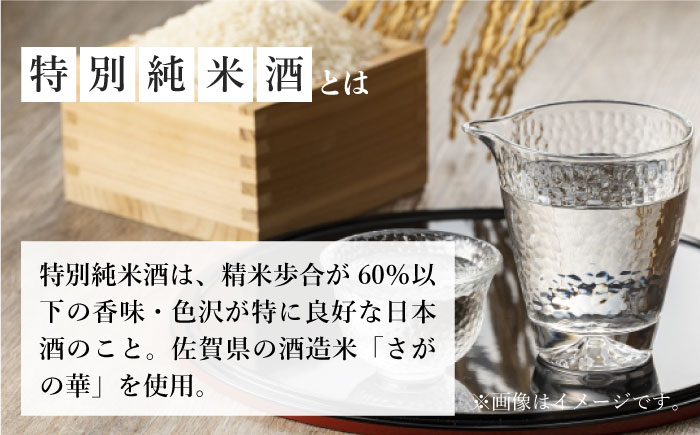 佐嘉 特別純米 720ml 【諸冨商店】 [HCZ005]日本酒