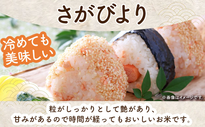 【ご飯でご飯が食べられる！】令和7年産 さがびより 白米 5kg（一等米）【一九FARM】 [HDC001]