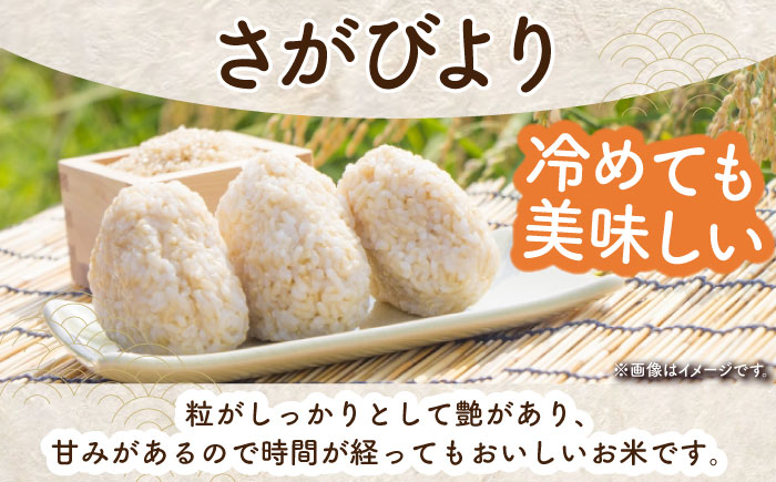 【ご飯でご飯が食べられる！】令和7年産 さがびより 玄米 5kg（一等米）【一九FARM】 [HDC002]
