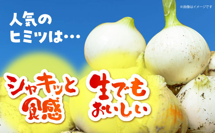 【今が旬!】 訳あり 玉ねぎ 10kg（小玉）【えぐちファーム】 不揃い たまねぎ [HDE002]