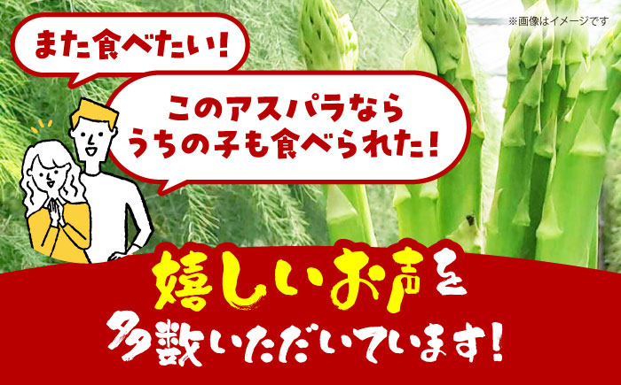 【訳あり】 MOTTAINAI アスパラ 1kg 【えぐちファーム】 アスパラガス ワケアリ [HDE003]