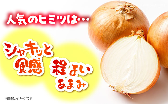 【今が旬!】 訳あり 玉ねぎ 10kg 　【えぐちファーム】 不揃い たまねぎ [HDE004]