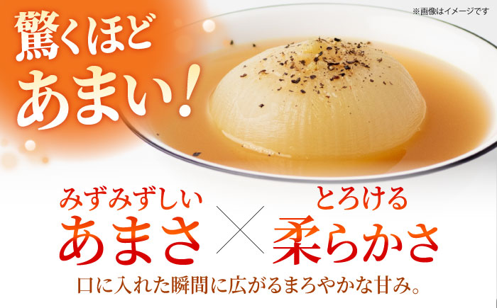 【先行予約】 玉ねぎ（白・赤）セット 計5kg 【吉祥】 [HDG002]