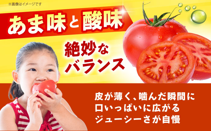 【1～4月発送】 訳あり トマト （カレン） 2kg 【にしやまファーム】 [HDI001]