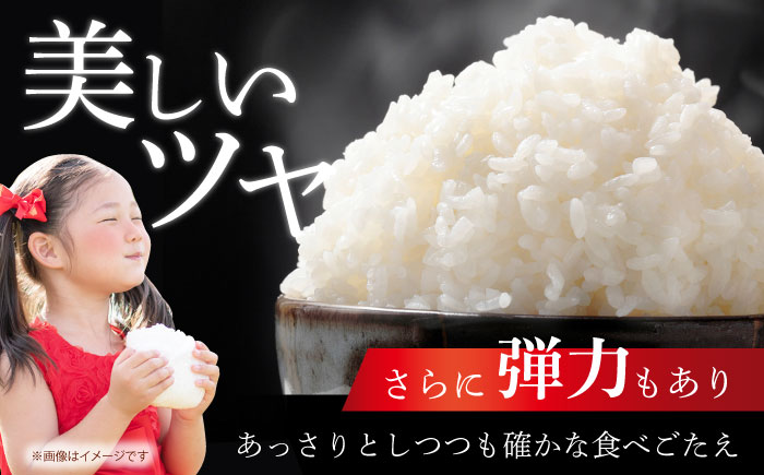 令和7年産 ヒノヒカリ 白米 10kg 【有限会社江北商会】 精米 米 おこめ [HDK001]