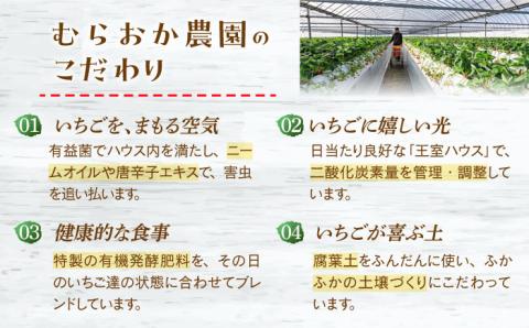 【2〜4月発送】朝摘みいちご1kg（いちごさん・さがほのか計4パック）【むらおか農園】 [HAF020]