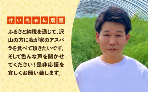 【お手軽調理】ミニアスパラガス 800g【けいちゃん農園】 [HCC011]