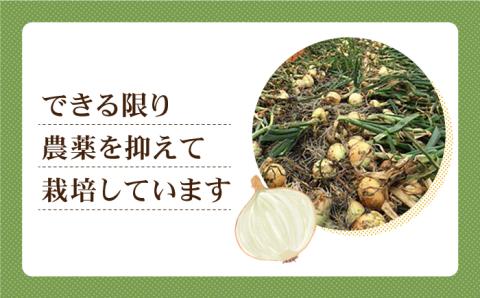 【先行予約】江北町産 たまねぎ 約10kg【百武青果】 [HAE017] 玉ねぎ