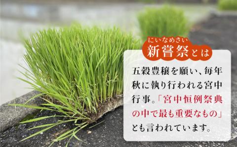 【先行予約】令和6年産 さがびより 精米 7kg【かづやの農園】 [HAP010] 白米