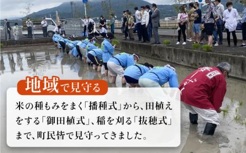 【先行予約】令和6年産 ヒヨクモチ 精米 7kg【かづやの農園】 [HAP007]