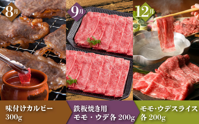 【全12回定期便】季節の佐賀牛定期便（2人前）【肉の三栄】 [HAA072] 牛肉