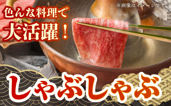 佐賀牛 ロース切り落とし 500g（【肉の三栄】 [HAA111]