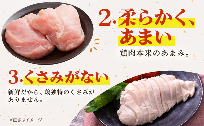 【12/20入金まで年内発送】ありたどり ムネ肉 ブロック 計1kg 【肉の三栄】 ありた鶏 むね むね肉 ムネ 鶏肉 [HAA114]