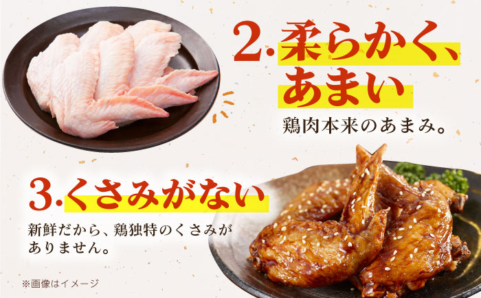 ありたどり 手羽先 計1kg 【肉の三栄】 ありた鶏 手羽 てばさき テバサキ 鶏肉 [HAA117]