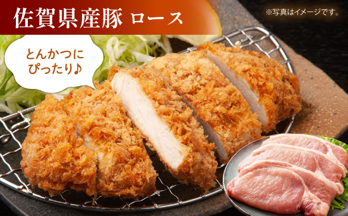 牛・豚・鶏 お楽しみセット 計1.5kg 【肉の三栄】 牛肉 豚肉 鶏肉 [HAA146]