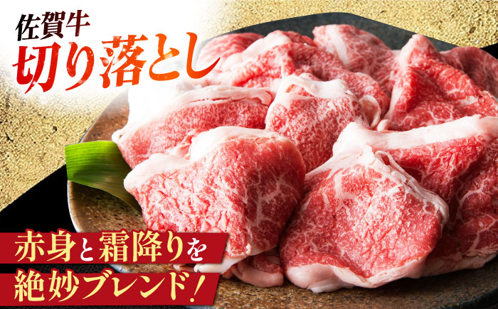 ハンバーグ付き！三栄のデイリーセット 【肉の三栄】 佐賀牛 佐賀県産豚 ありたどり 切り落とし [HAA203]