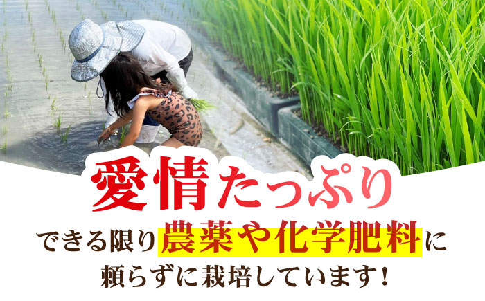 令和7年産 新米 夢しずく 玄米 10kg【ひなたむらのお米】 [HAC002]
