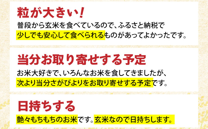 令和7年産 さがびより 玄米 10kg【ひなたむらのお米】[HAC004]