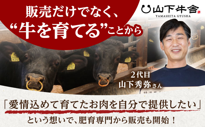 佐賀牛 A5 赤身 スライス 500g（しゃぶしゃぶ用）【山下牛舎】 [HAD048]