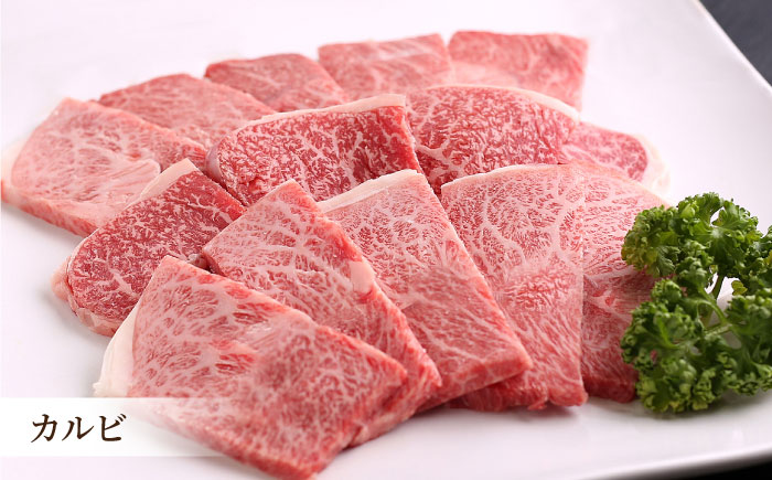佐賀牛 A5 焼肉 食べ比べセット1.2kg（400g×3）【山下牛舎】 [HAD059] 牛肉