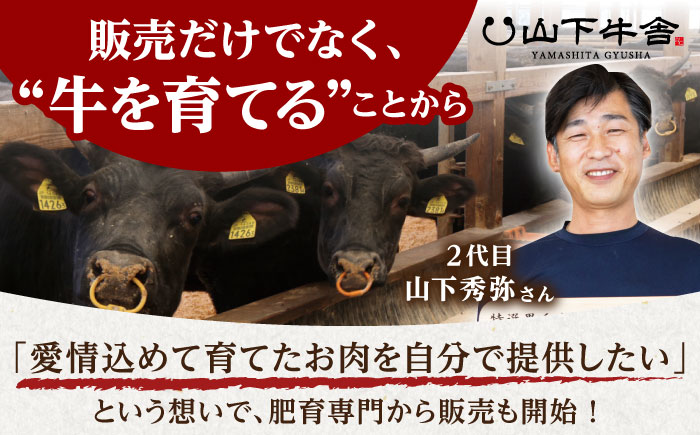 佐賀牛 A5 サーロイン ブロック 1kg【山下牛舎】 [HAD061]