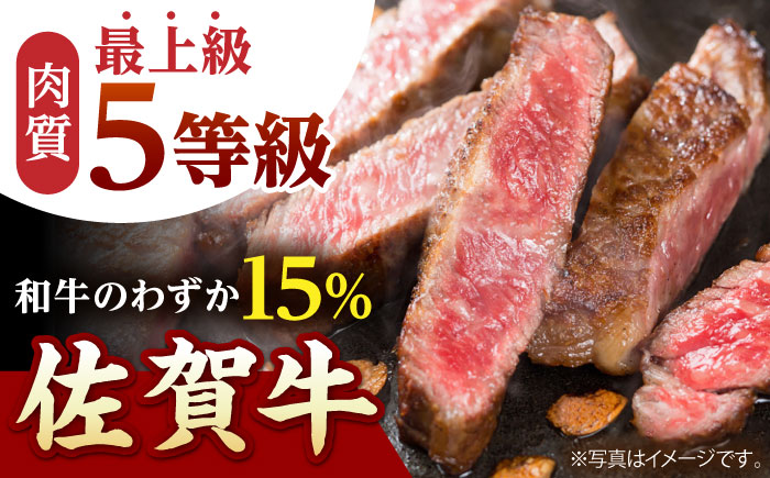 【全6回定期便】佐賀牛 サーロイン ステーキ 600g（300g×2枚）【山下牛舎】 [HAD067]