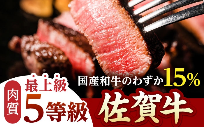 【全6回定期便】佐賀牛 シャトーブリアン 400g（200g×2枚）【山下牛舎】 [HAD070]