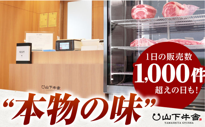 【全6回定期便】佐賀牛 ヒレ サイコロステーキ 500g(250g×2パック)【山下牛舎】 [HAD073]