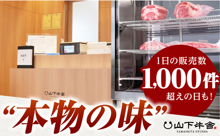 【全12回定期便】佐賀牛 ヒレ サイコロステーキ 500g(250g×2パック)【山下牛舎】 [HAD074]